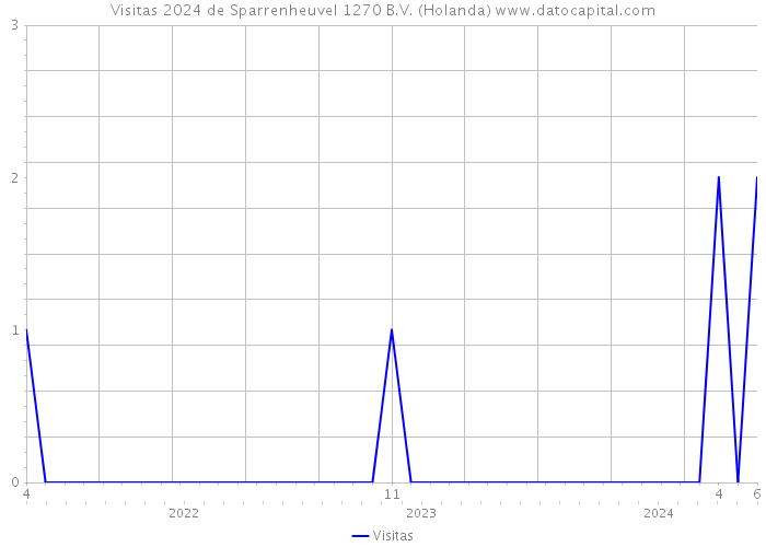 Visitas 2024 de Sparrenheuvel 1270 B.V. (Holanda) 