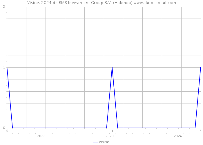 Visitas 2024 de BMS Investment Group B.V. (Holanda) 