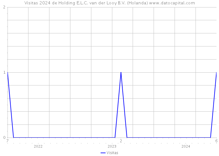 Visitas 2024 de Holding E.L.C. van der Looy B.V. (Holanda) 