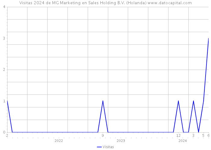 Visitas 2024 de MG Marketing en Sales Holding B.V. (Holanda) 