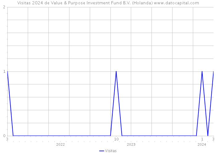 Visitas 2024 de Value & Purpose Investment Fund B.V. (Holanda) 