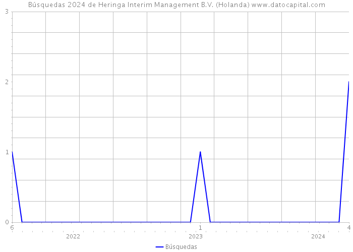 Búsquedas 2024 de Heringa Interim Management B.V. (Holanda) 