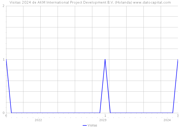 Visitas 2024 de AKM International Project Development B.V. (Holanda) 