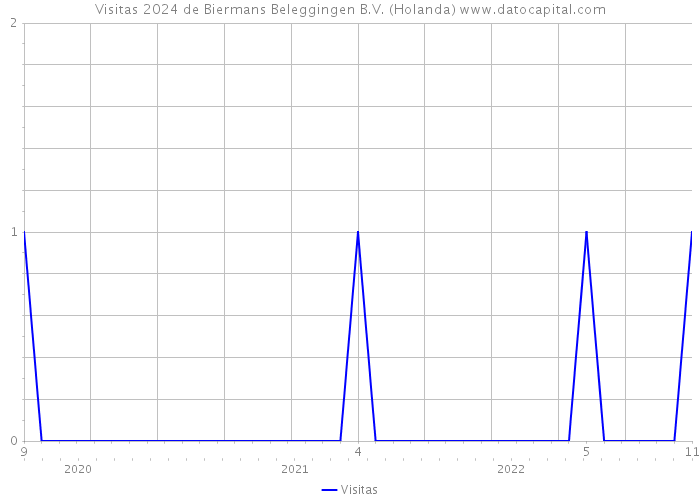 Visitas 2024 de Biermans Beleggingen B.V. (Holanda) 