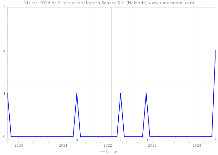 Visitas 2024 de R. Visser Apeldoorn Beheer B.V. (Holanda) 