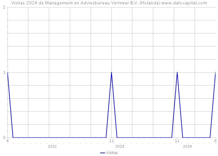 Visitas 2024 de Management en Adviesbureau Vermeer B.V. (Holanda) 