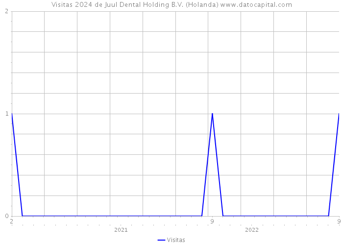 Visitas 2024 de Juul Dental Holding B.V. (Holanda) 