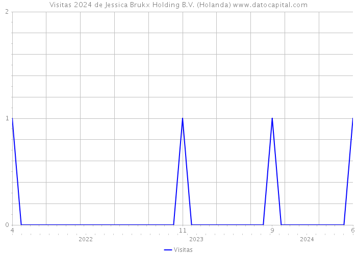 Visitas 2024 de Jessica Brukx Holding B.V. (Holanda) 