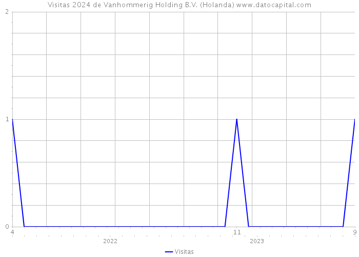Visitas 2024 de Vanhommerig Holding B.V. (Holanda) 