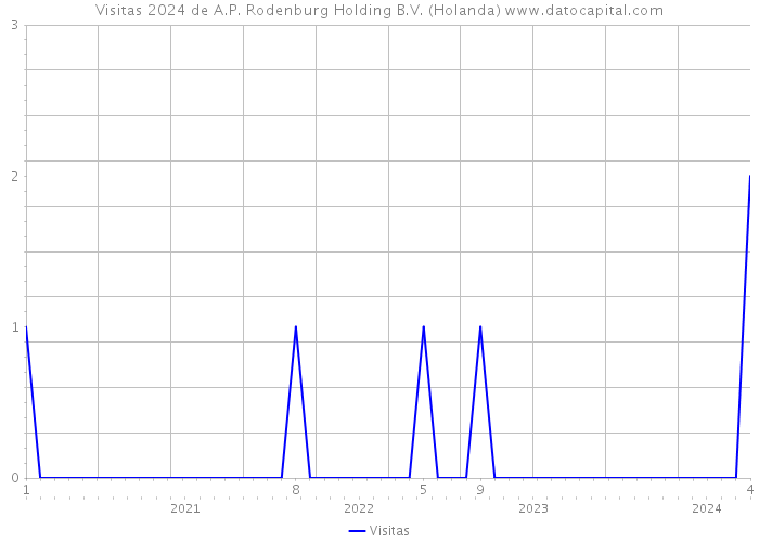 Visitas 2024 de A.P. Rodenburg Holding B.V. (Holanda) 