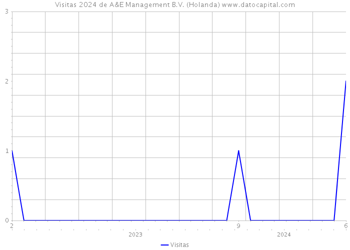 Visitas 2024 de A&E Management B.V. (Holanda) 