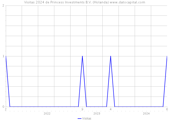 Visitas 2024 de Princess Investments B.V. (Holanda) 