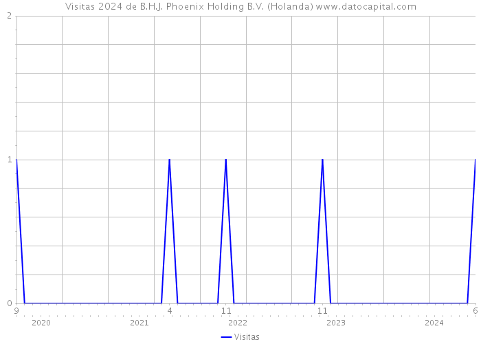 Visitas 2024 de B.H.J. Phoenix Holding B.V. (Holanda) 