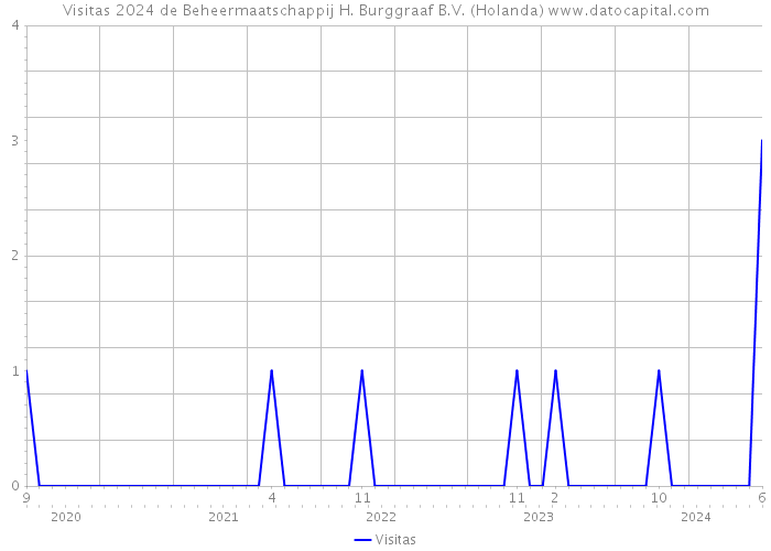 Visitas 2024 de Beheermaatschappij H. Burggraaf B.V. (Holanda) 