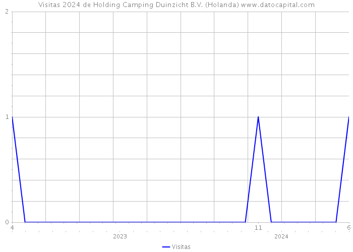 Visitas 2024 de Holding Camping Duinzicht B.V. (Holanda) 