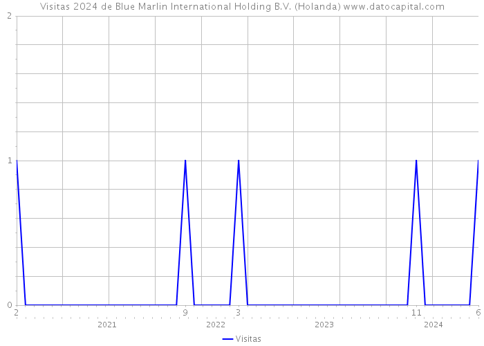 Visitas 2024 de Blue Marlin International Holding B.V. (Holanda) 