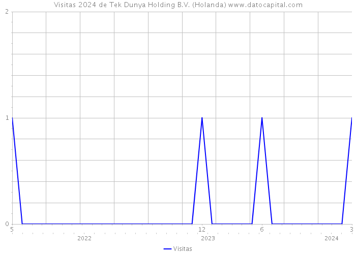 Visitas 2024 de Tek Dunya Holding B.V. (Holanda) 