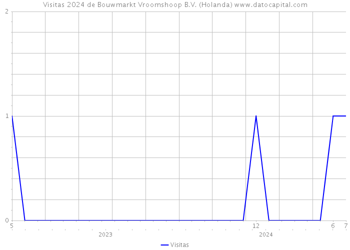 Visitas 2024 de Bouwmarkt Vroomshoop B.V. (Holanda) 