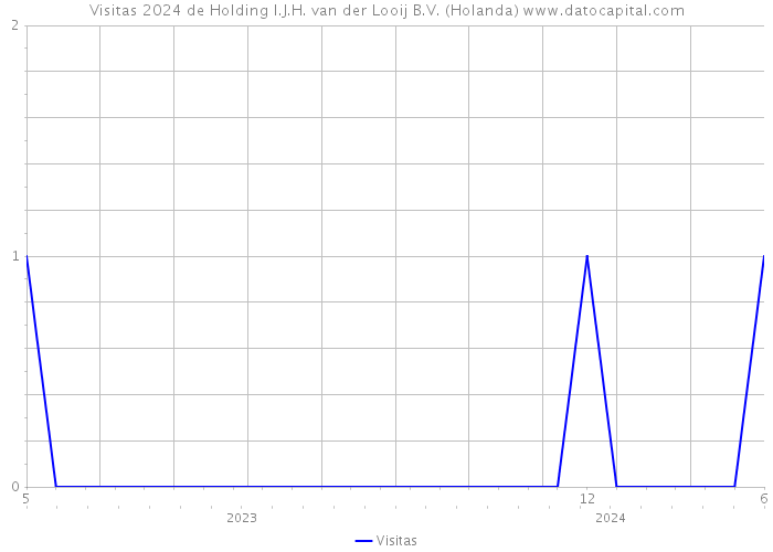 Visitas 2024 de Holding I.J.H. van der Looij B.V. (Holanda) 