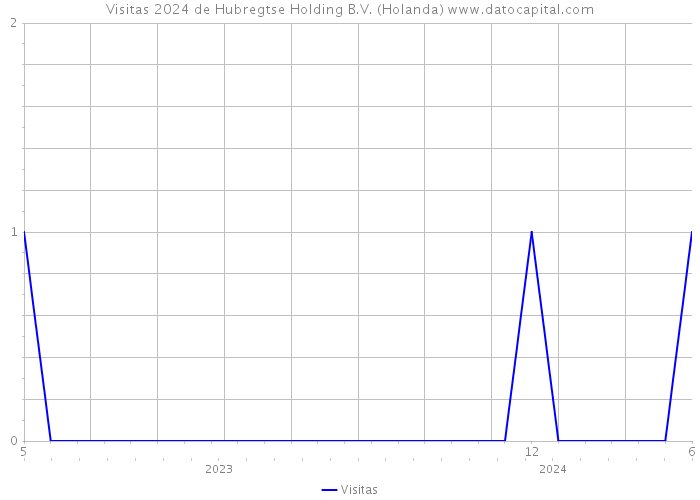 Visitas 2024 de Hubregtse Holding B.V. (Holanda) 