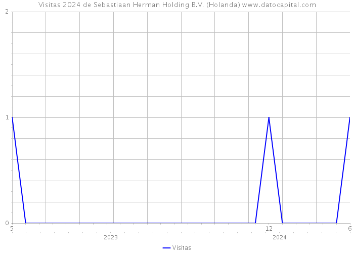 Visitas 2024 de Sebastiaan Herman Holding B.V. (Holanda) 