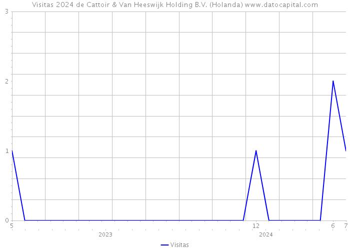 Visitas 2024 de Cattoir & Van Heeswijk Holding B.V. (Holanda) 