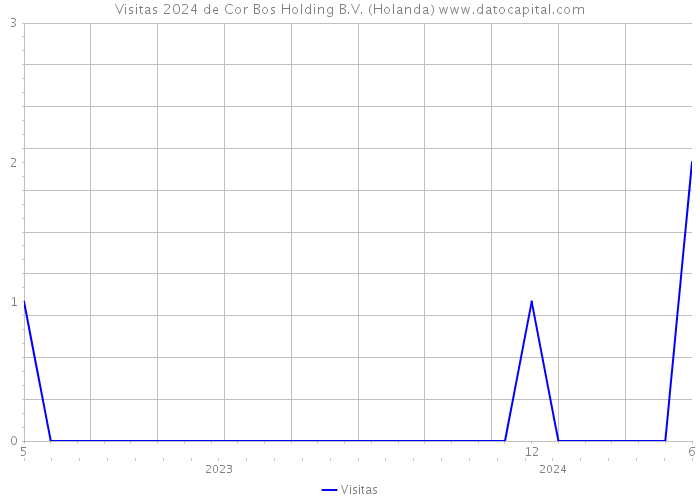 Visitas 2024 de Cor Bos Holding B.V. (Holanda) 