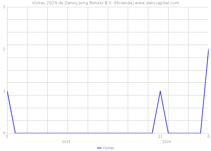 Visitas 2024 de Danny Jong Beheer B.V. (Holanda) 