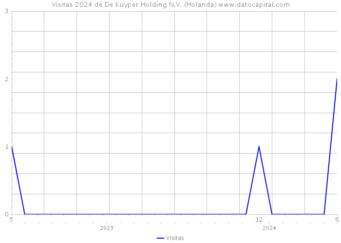 Visitas 2024 de De Kuyper Holding N.V. (Holanda) 