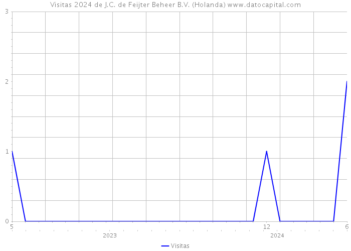 Visitas 2024 de J.C. de Feijter Beheer B.V. (Holanda) 