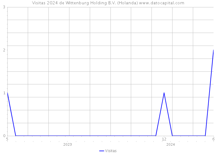 Visitas 2024 de Wittenburg Holding B.V. (Holanda) 