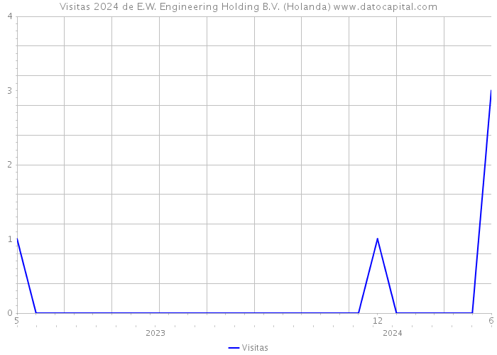 Visitas 2024 de E.W. Engineering Holding B.V. (Holanda) 