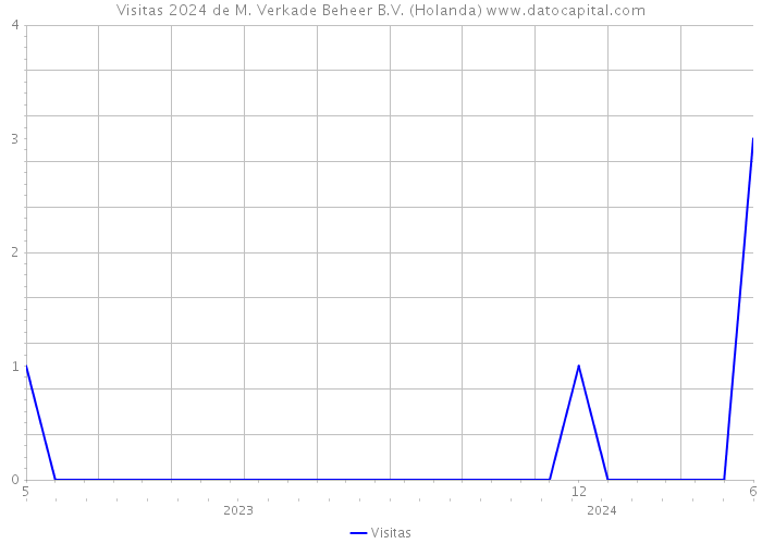 Visitas 2024 de M. Verkade Beheer B.V. (Holanda) 