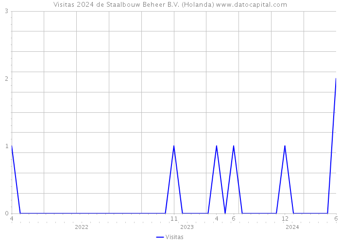 Visitas 2024 de Staalbouw Beheer B.V. (Holanda) 