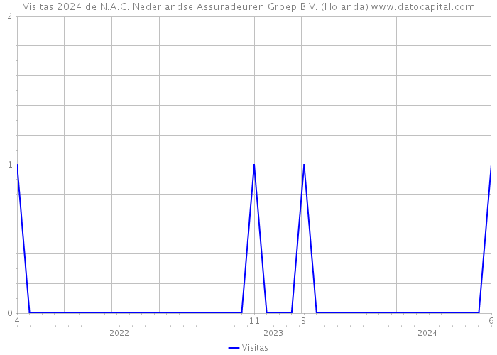 Visitas 2024 de N.A.G. Nederlandse Assuradeuren Groep B.V. (Holanda) 