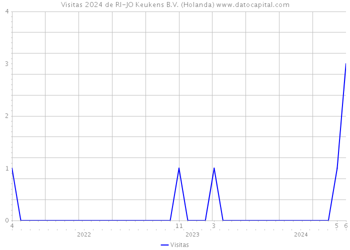 Visitas 2024 de RI-JO Keukens B.V. (Holanda) 