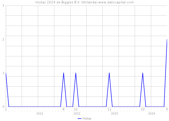 Visitas 2024 de Biggles B.V. (Holanda) 