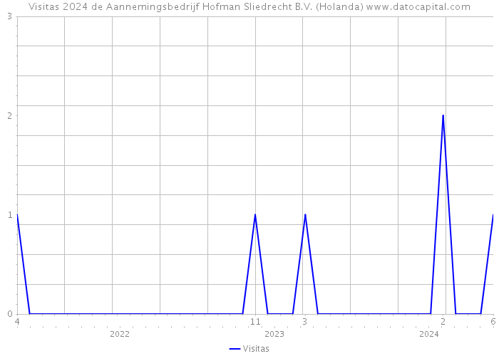 Visitas 2024 de Aannemingsbedrijf Hofman Sliedrecht B.V. (Holanda) 