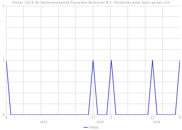 Visitas 2024 de Samenwerkende Reparatie Bedrijven B.V. (Holanda) 