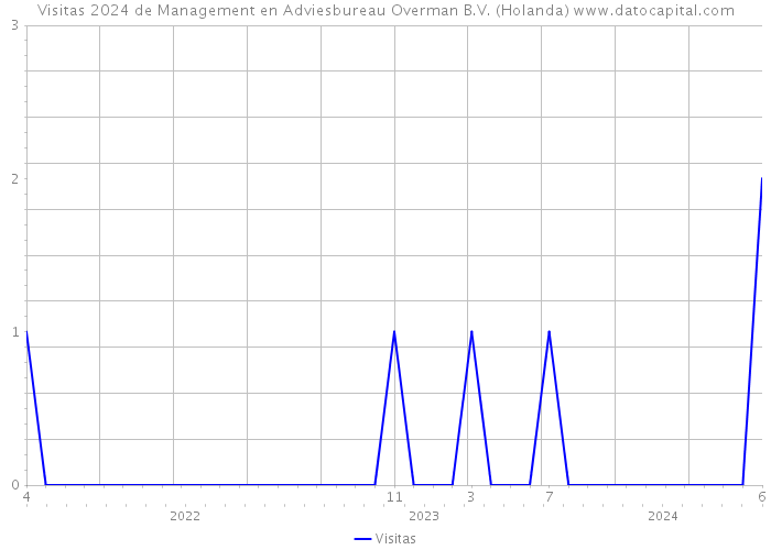 Visitas 2024 de Management en Adviesbureau Overman B.V. (Holanda) 