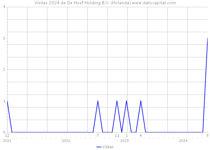 Visitas 2024 de De Hoef Holding B.V. (Holanda) 