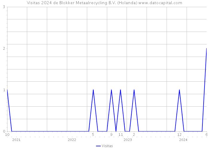 Visitas 2024 de Blokker Metaalrecycling B.V. (Holanda) 