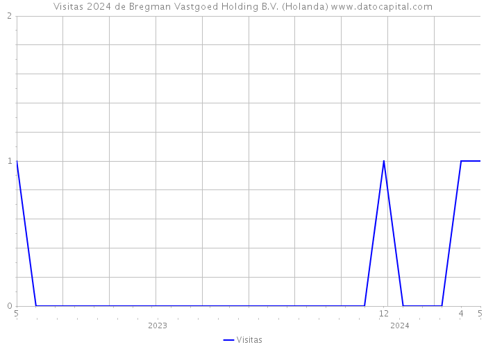 Visitas 2024 de Bregman Vastgoed Holding B.V. (Holanda) 