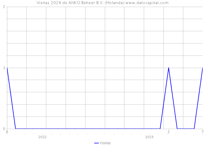 Visitas 2024 de ANKO Beheer B.V. (Holanda) 