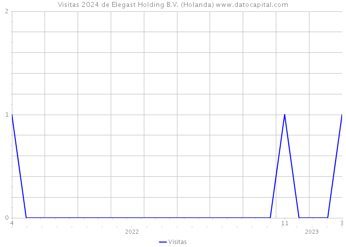 Visitas 2024 de Elegast Holding B.V. (Holanda) 