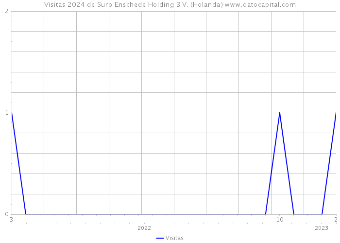 Visitas 2024 de Suro Enschede Holding B.V. (Holanda) 