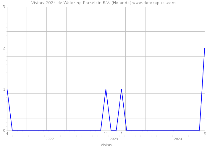 Visitas 2024 de Woldring Porselein B.V. (Holanda) 