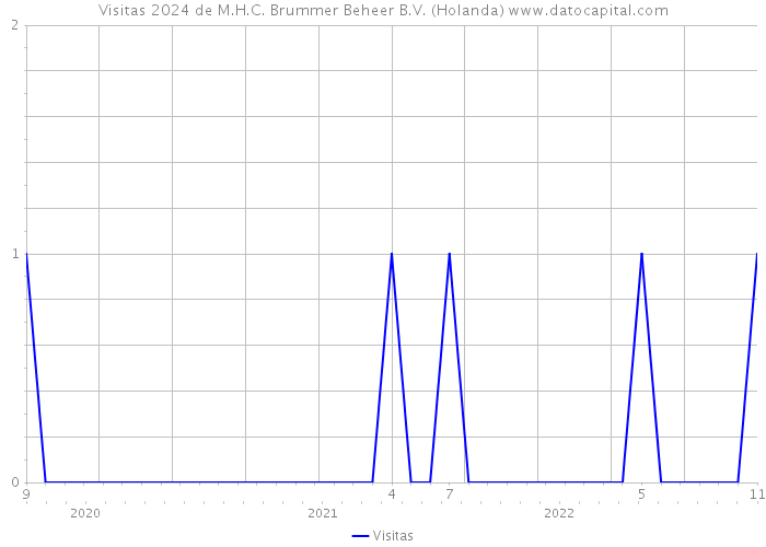 Visitas 2024 de M.H.C. Brummer Beheer B.V. (Holanda) 