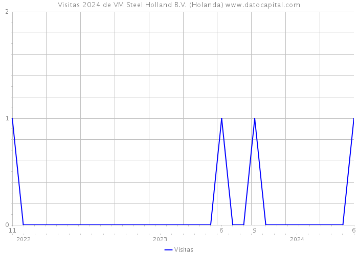 Visitas 2024 de VM Steel Holland B.V. (Holanda) 