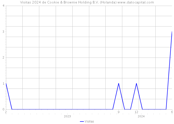 Visitas 2024 de Cookie & Brownie Holding B.V. (Holanda) 
